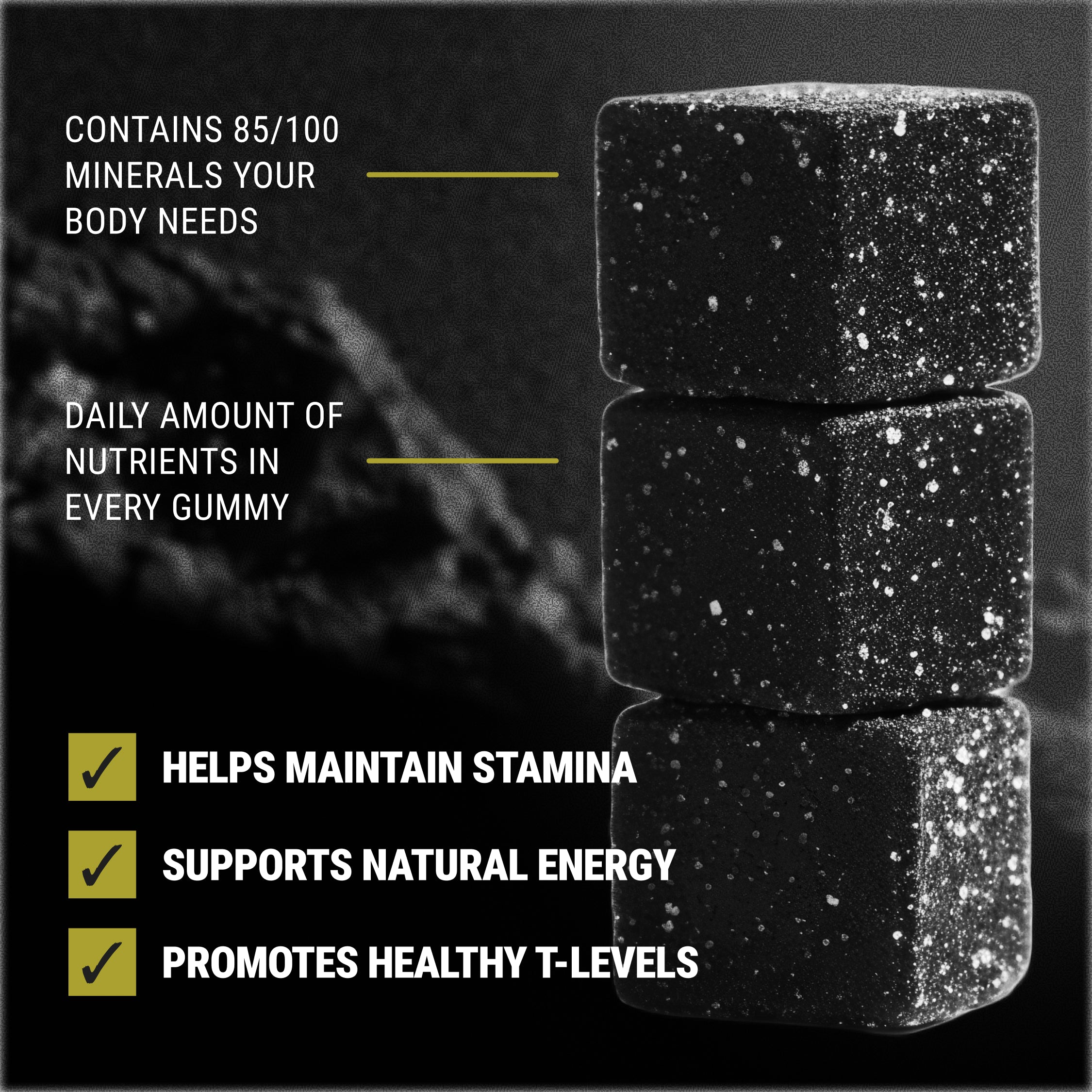 Shilajit - 6-in-1 Libido & Vitality Support Gummies