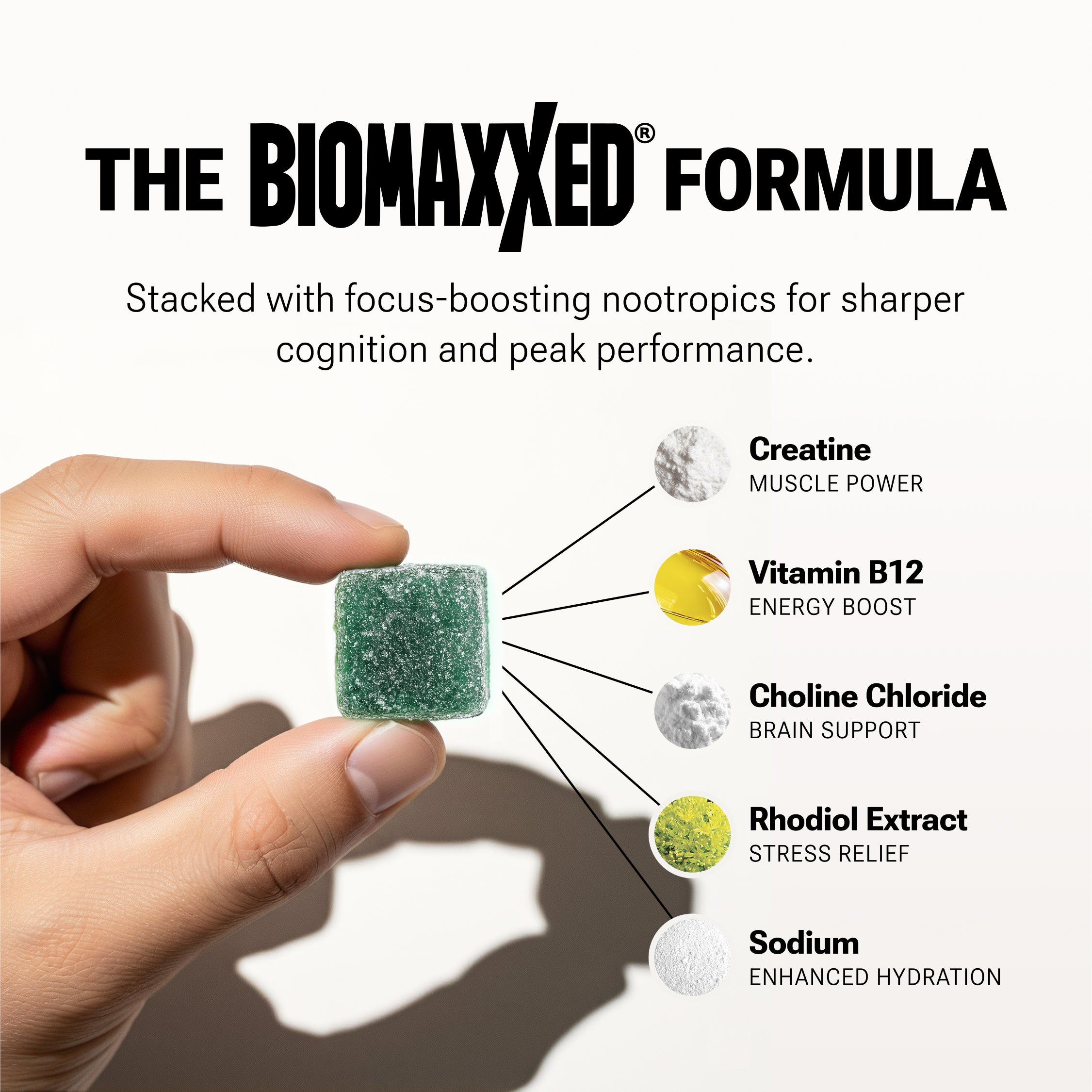 BIOMAXXED® Creatine Gummies With Focus-Support